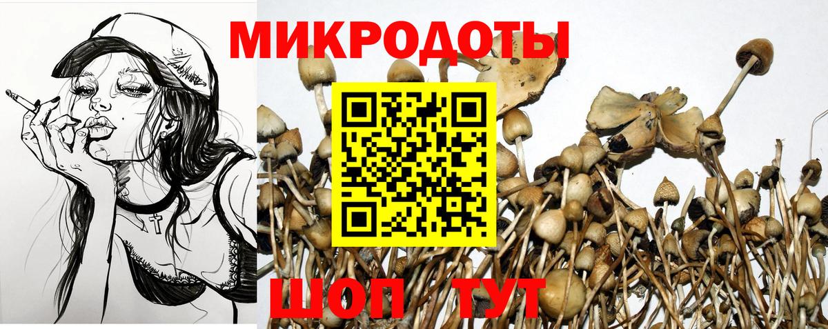 Псилоцибиновые грибы мицелий  Вход с VPN  Ртищево  Галлюциногенные грибы Psilocybe 